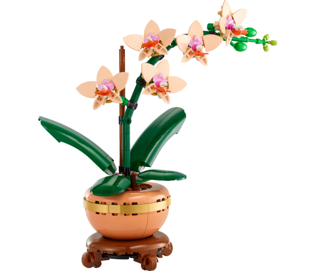 LEGO Botanicals 10343 Mała orchidea - 1283645 - zdjęcie 3